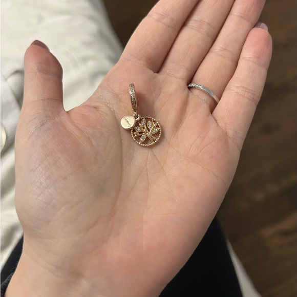 Pandora Family Heritage Dangle Charm - Picture 3 of 4